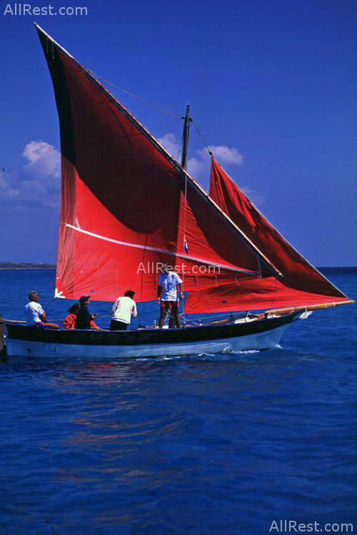 Melia Poltu Quatu 49